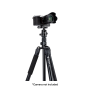 Fotopro Tripod PD-5+42QC