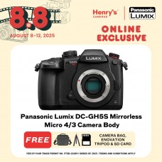 Panasonic Lumix DC-GH5S Mirrorless Micro 4/3 Camera Body