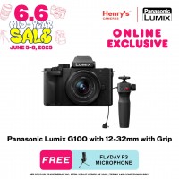 Panasonic Lumix G100 with 12-32mm with Grip