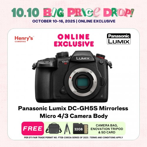Panasonic Lumix DC-GH5S Mirrorless Micro 4/3 Camera Body
