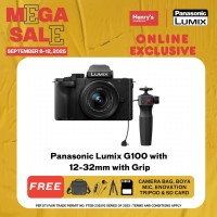 Panasonic Lumix G100 with 12-32mm with Grip