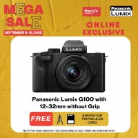 Panasonic Lumix G100 with 12-32mm without Grip