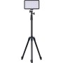 Amaran Pano 60c RGB COB Mobile Light Panel (2-Light Kit, Charcoal)