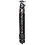 Benro TTOR24CGX30 Tortoise Two Series Carbon Fiber Tripod with GX30 Ball Head