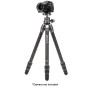 Benro TTOR24CGX30 Tortoise Two Series Carbon Fiber Tripod with GX30 Ball Head