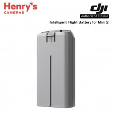 DJI Intelligent Flight Battery for Mini 2