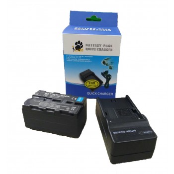 iLion Quick Charger Set for NP-770 iLion Quick Charger Set for NP-770