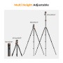 K&F Concept T254A7 Video Tripod with FH-03 Fluid Head - KF09-137