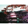 Lomography LomoChrome 2021 Purple Pétillant 35mm ISO 100–400 Film