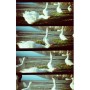 Lomography LomoKino 35mm Film Camera