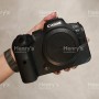 Canon R6 Mark I Body [Pre-Owned]