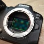 Canon R6 Mark I Body [Pre-Owned]