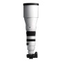 Sigma 300-600mm F4 DG OS For Sony E