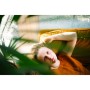Sigma 35MM F1.2 DG II Art for Sony  E / L- Mount