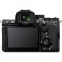 Sony Alpha A7R V Body