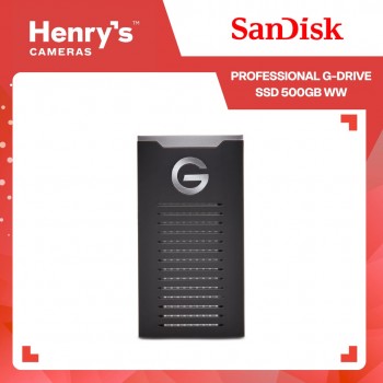 Sandisk Professional G-Drive SSD 500GB WW SDPS11A