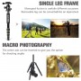 Zomei Q666 Proline Tripod with Ballhead